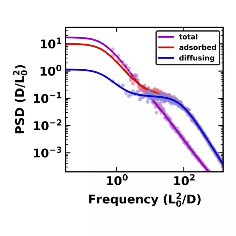 adsorption diffusion nanopores