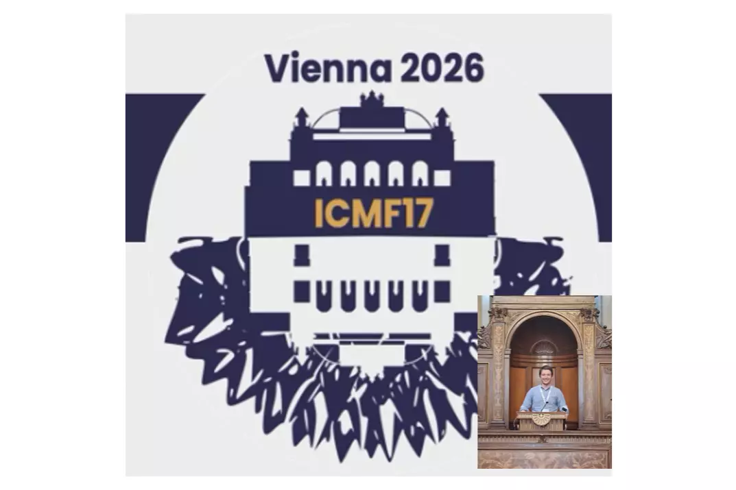 icmf17 v2