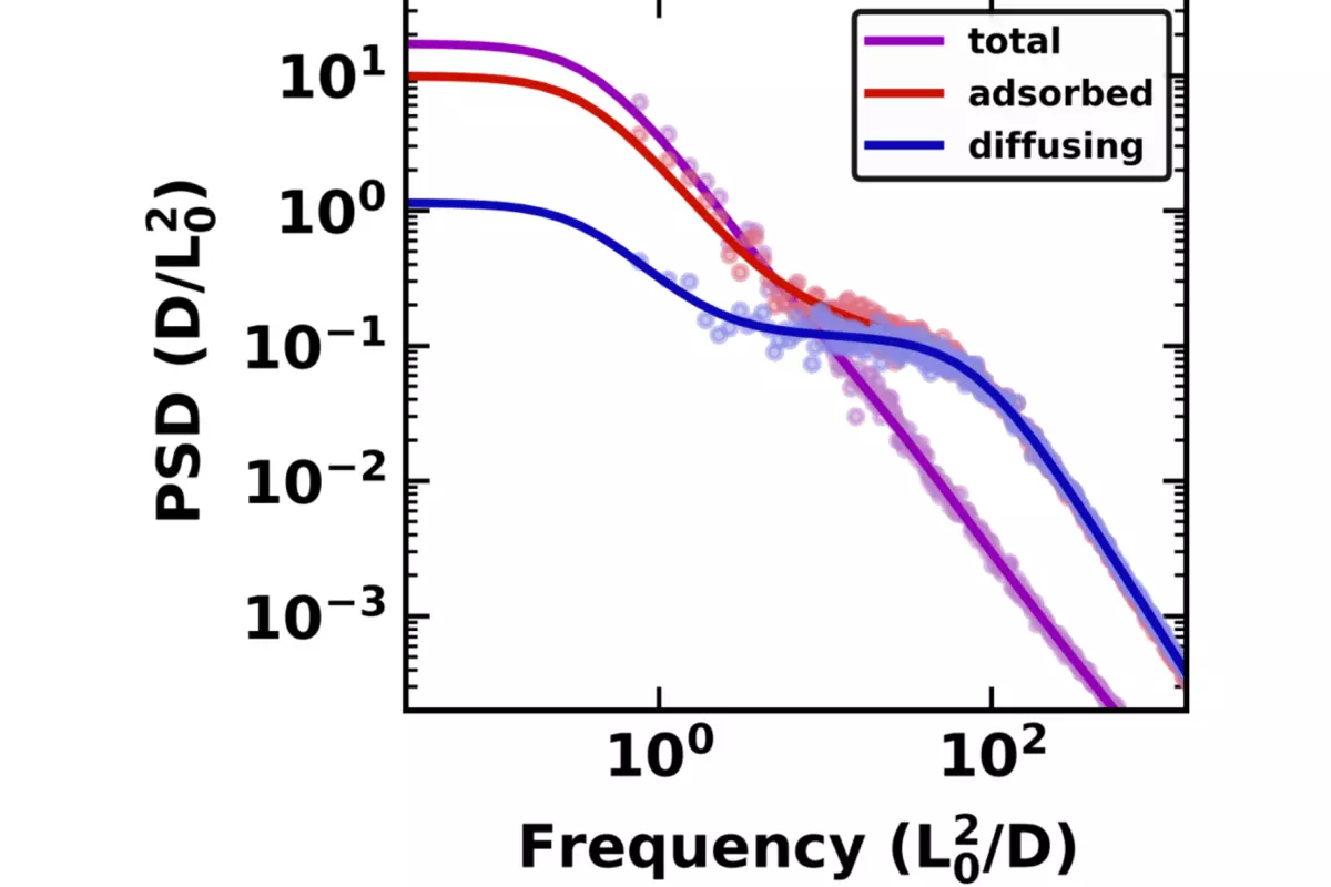 adsorption diffusion nanopores