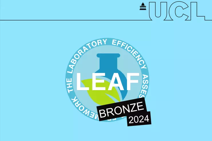 leaf