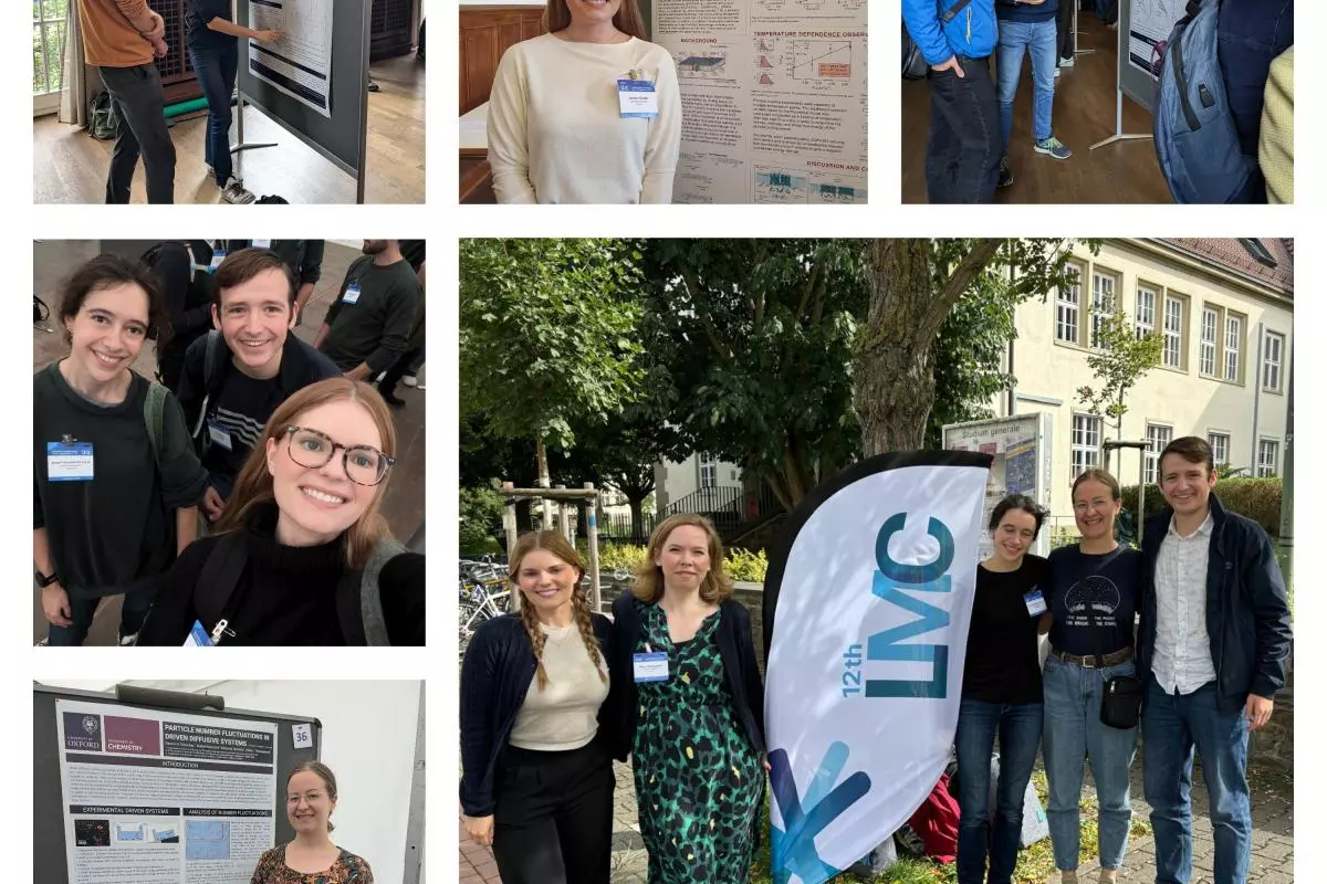 lmc collage